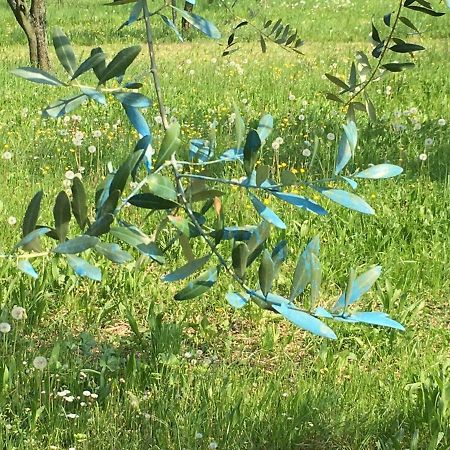 מנרבה דל גארדה Agriturismo Holle מראה חיצוני תמונה