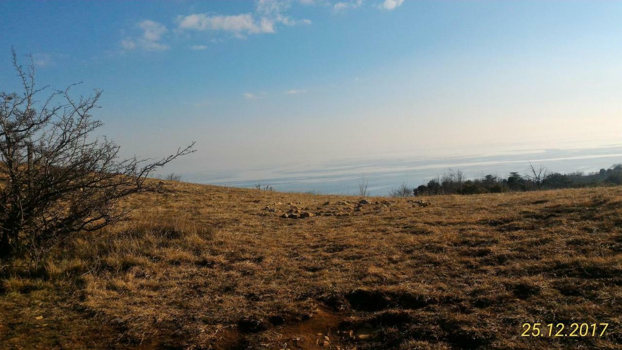 מנרבה דל גארדה Agriturismo Holle מראה חיצוני תמונה