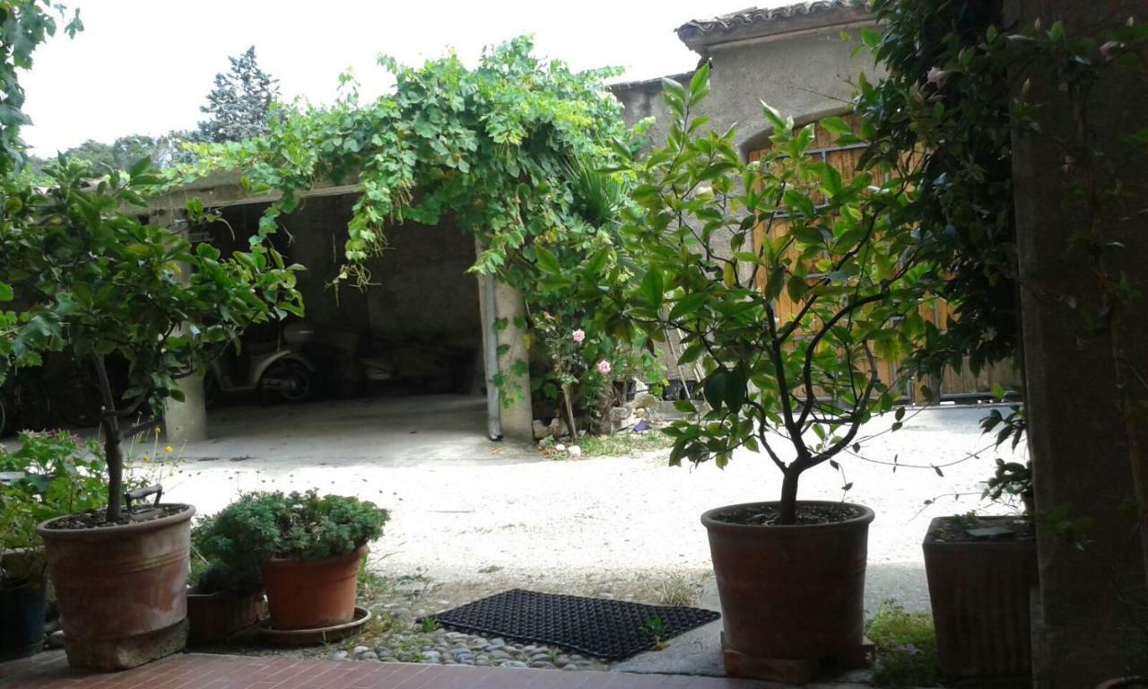 מנרבה דל גארדה Agriturismo Holle מראה חיצוני תמונה